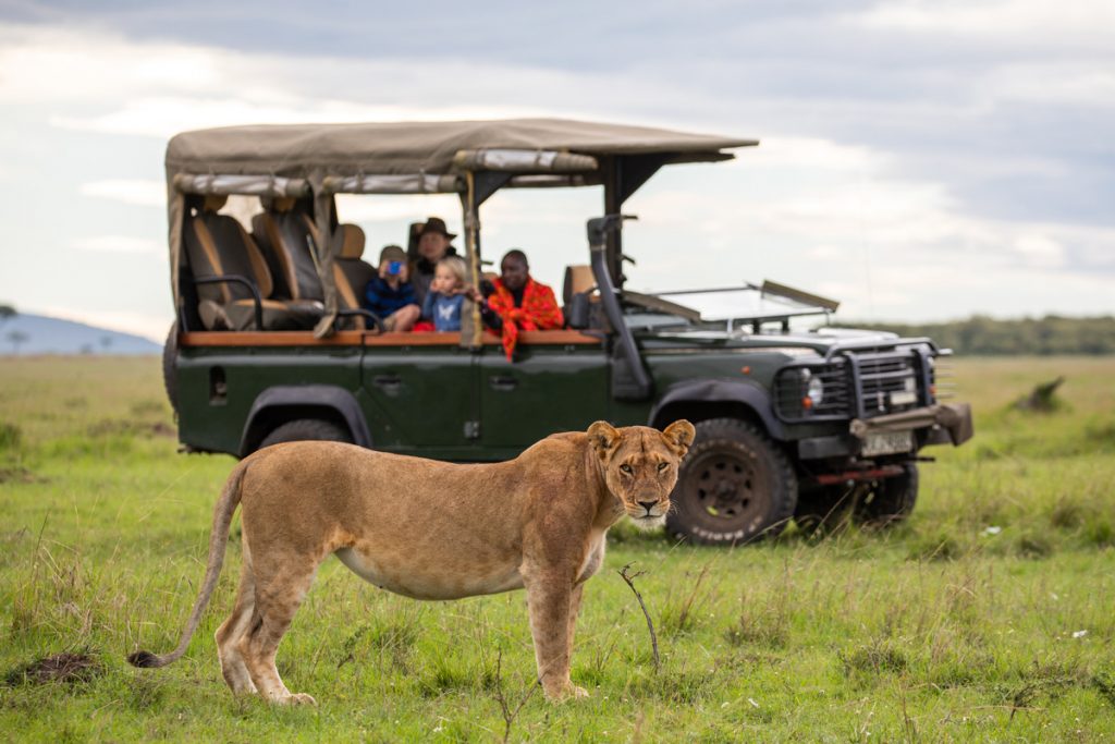 Safari watching a lionessSafari watching a lioness at House In The Wild as advertised by Kiwano Hotels
